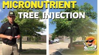 Micronutrient Tree Injection Uglyweeds.com