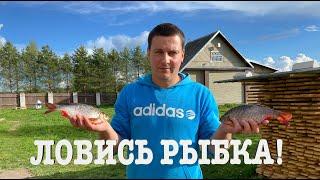 #98. Консервы из речной рыбы. [Жизнь на своей земле]