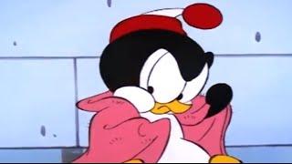 Chilly Willy en Español  Una nueva vida -  Capitulos completos Dibujos Animados