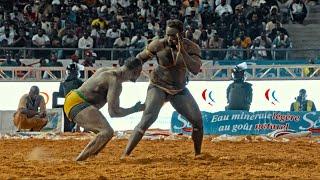 Lutte Sénégalaise : le combat royal entre Modou Lô et Boy Niang 2 bat les records