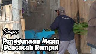 tutorial Penggunaan Mesin Pencacah Rumput untuk pakan ternak Sapi 