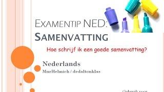 Hoe schrijf ik een goede samenvatting? Examentip Nederlands