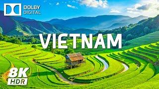 VIETNAM 8K Video Ultra HD - Explore the Stunning S - Shaped Country with Cinematic Music