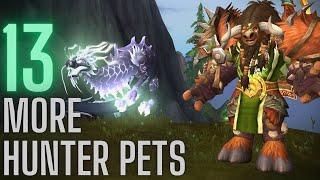 13 MORE Hunter Pet Tames | Dragonflight 10.1.5+ | World of Warcraft