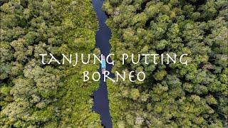 Wonderful Indonesia | Tanjung Puting National Park | Borneo