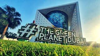 Green Planet Dubai | 4K | CityWalk | GreenHouse | Exotic Birds | Artifical Rainforest | Cinematic