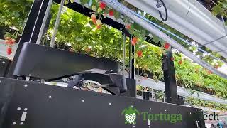 Tortuga AgTech - Teaser