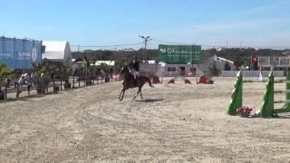 Igor (s.Emerald)   Vilamoura final 7yr old 2015