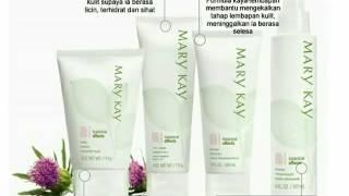 Botanical Effects | STEP 1, 2, 3 & 4 @ASCINTA