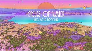 Being Eco at Boomland: The Cycles of Water