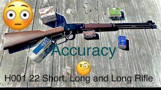 First Shots and Thoughts of the Henry 22, Model H001 22 Short 22 Long 22 Long Rifle