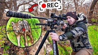 My First Ever Coyote Hunting Tournament - Scope Cam