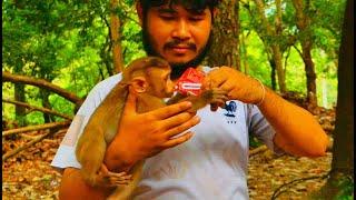 Smart boy..! Baby Leo is friendly & persuade his fan for give a milk to him