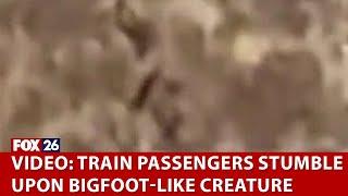 Colorado train passengers stumble upon bigfoot-like creature