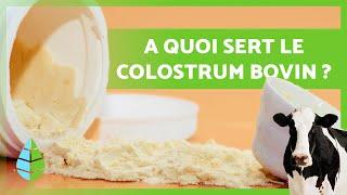 12 BIENFAITS du COLOSTRUM BOVIN | A quoi sert-il et comment en consommer !