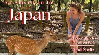 An American in Japan - Ep 8: Beach Day & Nara Deer Park!