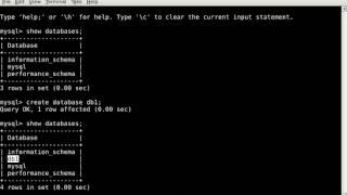 MySQL how to create database and user from terminal