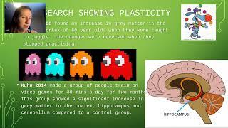 Brain plasticity