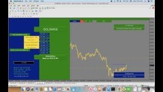 LIVE FOREX ROBOT