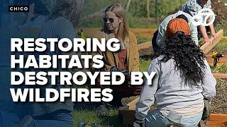 Butte Environmental Council builds bat boxes to restore habitats lost in Park Fire