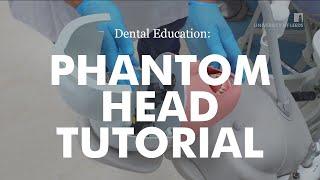 ADEC Phantom Head Tutorial