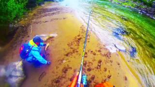 Spining fishing mongolia 2015 Lenok (Рыбалка в Монголии)