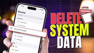 Best Ways to Delete System Data on iPhone | Free Up Storage Space