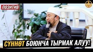 СҮННӨТ БОЮНЧА ТЫРМАК АЛУУ (позитив). Шейх Чубак ажы