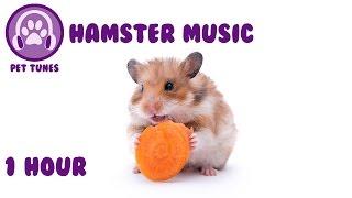 Music for Hamsters. Relax Your Pet Hamster with Calming Tunes from Pet Tunes.