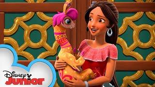 When the Royal Family's Away | Discovering the Magic Within | Elena of Avalor | Disney Junior