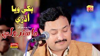 Pakhi Waya Udri _ Master Wali _ Album 01 _ New Eid Album _ Lajpal Enterprises