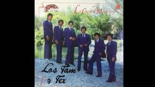 Los Tam Y Tex - La Chuya De Monterrey (DISCO COMPLETO) Ramex Records 1984