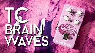 Twisted Stompy Pitches - TC Brainwaves Review