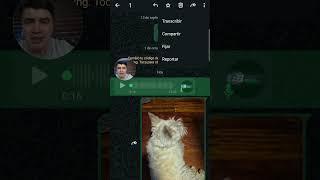 Como CONVERTIR los audios de WhatsApp en texto!!!