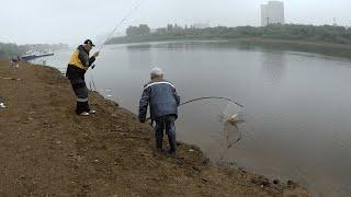 Великолепная рыбалка река Тура Тюмень.