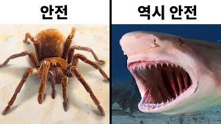 무섭게 생겼지만 위험하지 않은 14가지 동물