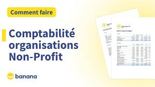 Comptabilité pour les Organisations Non-Profit