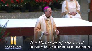 The Baptism of the Lord, Homily by Bishop Robert Barron (Jan 10, 2016)