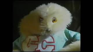 Original VHS Opening & Closing: Gordon T Gopher - The Video (UK Retail Tape)