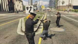 GTA V Armenian mob gets busted by the cops