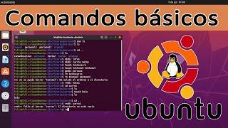 comandos básicos en Linux Ubuntu