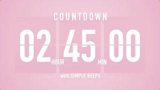 2 Hours 45 Minutes Countdown Flip Clock Timer / Simple Beeps 