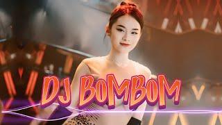 DISCO NONSTOP TECHNO REMIX  DJ BOMBOM MUSIC REMIX 2024 Dance With DJ- Nonstop Synthesis Remix 2024