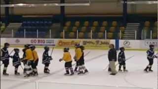 Youth Hockey Coach Trips Player During Post Game Handshake, Gets 15 Days In Jail