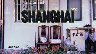 Shanghai 2024 | China | Cozy Walk | VLOG