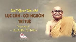 05. Lục Căn - Cội Nguồn Trí Tuệ | Suối Nguồn Tâm Linh - Thiền Sư Ajahn Chah