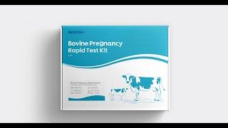 Bioeasy Bovine Pregnancy Rapid Test Kit