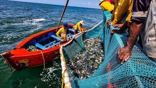 അയല മീൻ കൂട്ടത്തിൽ കാരി മീൻ കയറി|Mackerel Fish GALORE in Deep Sea Fishing Adventure!|Ep-03