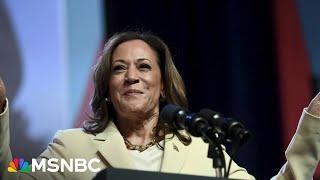 Why Vice President Harris could be the secret for Biden to defeat Trump again