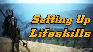 BDO - Setting Up Lifeskilling, Questing, & Grinding (Road to Softcap)